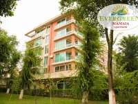 Evergreen Vlas Mamaia 