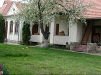 AjnГЎd PanziГі 