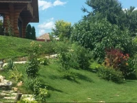 Vila Ovidiu 