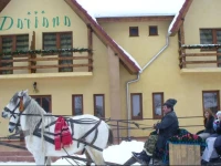 Pension Dariana 
