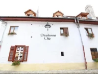 Pensiunea Chic 