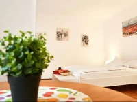Balcescu Ultracentral Apartments 
