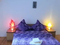 Casa Merisor 