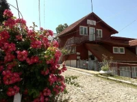 Vila Floare de Colt 