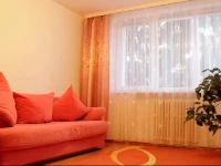Central Apartment Suceava 