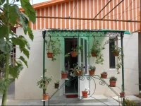 Apartament Teri 