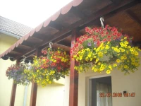 Casa Judith 