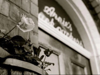 Arnies Backpackers