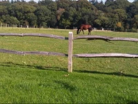 The Old Dairy Farm 
