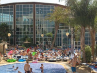 Flamingo Oasis