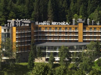 Krynica