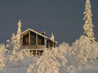 Arctic Lumo