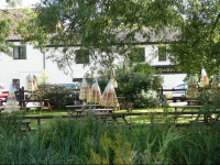The Swan at Stoford