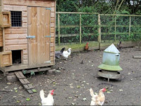 Larkrise Cottage Bed And Breakfast