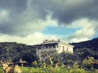 Finca Flores Amarillas 