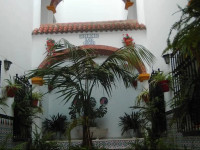 Apartamentos Los Arcos