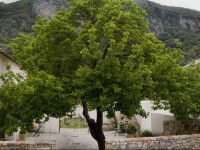 Casa Rural El Vihuelo