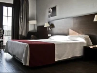 Hotel Canal OlГ­mpic 