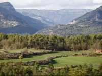Masia Massanes 