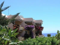 Apartamentos Patricio 
