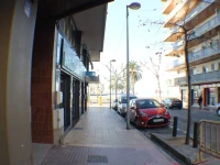 Agi Sant Jordi 