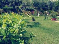 B&B Il Giardino Mediterraneo 