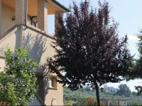 B&B Verdemare 