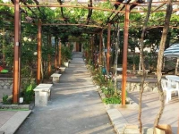 Casa Vacanza Pappacoda 