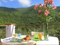 B&B Villa Mare e Ulivi 