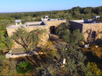 Tenuta Pagliarone