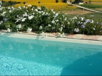 B&B Dolcedimora 