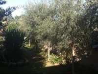 Holiday home Anita 