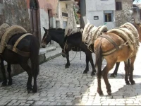 Rupe Antica 