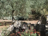Antica Fonte 