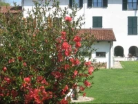 Beppe Bed & Breakfast 