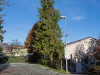 Hotel Chalet del Lago 