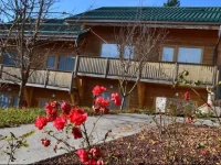 Albergo Rendola 3*