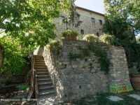 Il Bosso di Toscana 