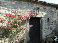 Dimora del Gallo - Case in Borgo