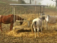 Agriturismo B&B Casenuove 