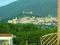 La Gatta Ciotolina 