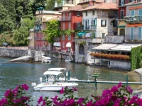 Riva Bellano Camelia 