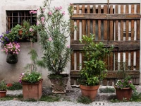 Buonocore Guesthouse 