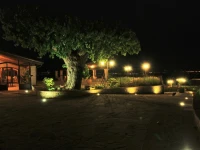Tenuta Del Perugino 