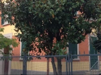 Villa Bononia 