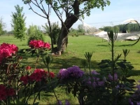 B&B La Castellana 