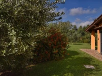 Vigna Di Valle 