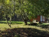 Agricampeggio Madonna di Pogi 