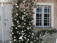 B&B Casa Meli 