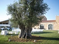 Masseria Stali 